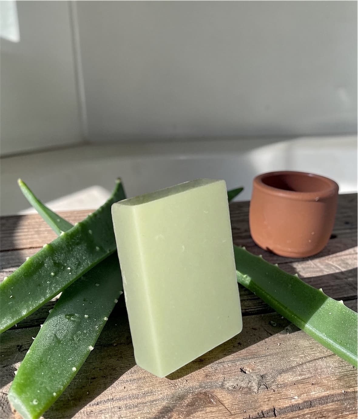 Jabón de Aloe Vera